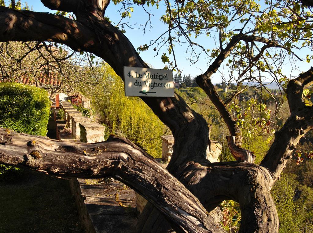 Ermitage Saint Vincent B&B Vieille-Brioude Buitenkant foto