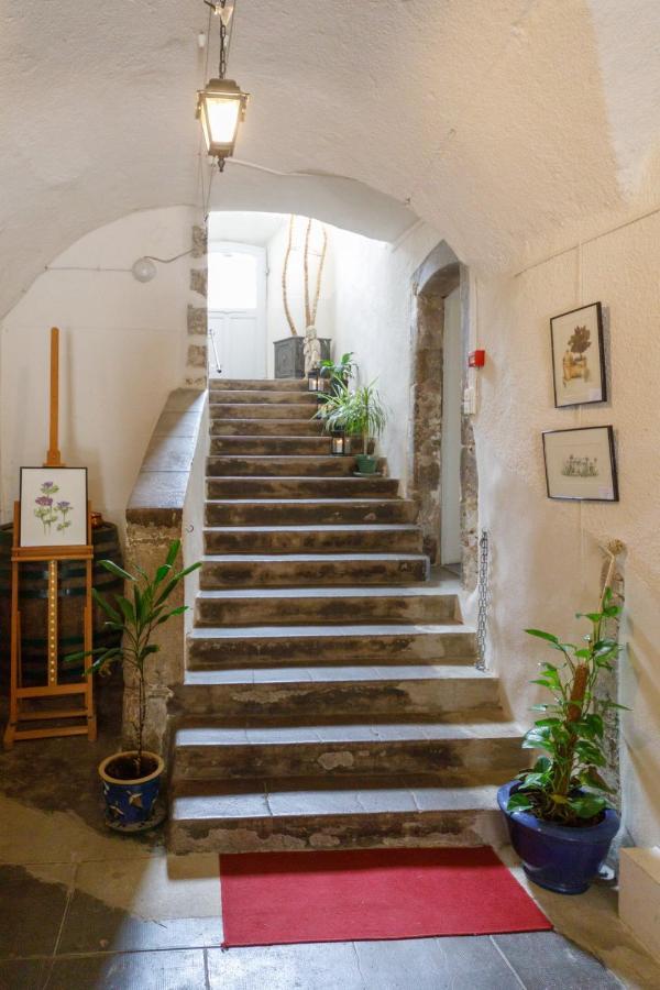 Ermitage Saint Vincent B&B Vieille-Brioude Buitenkant foto